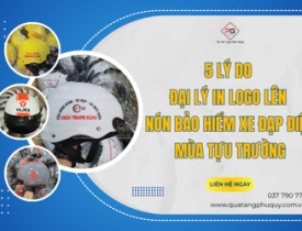 5 LÝ DO ĐẠI LÝ ĐỔ XÔ ĐẶT NÓN BẢO HIỂM XE ĐẠP ĐIỆN IN LOGO MÙA TỰU TRƯỜNG